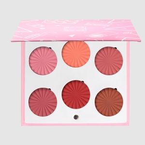Mini Mix Face Palette Charm Your Cheeks